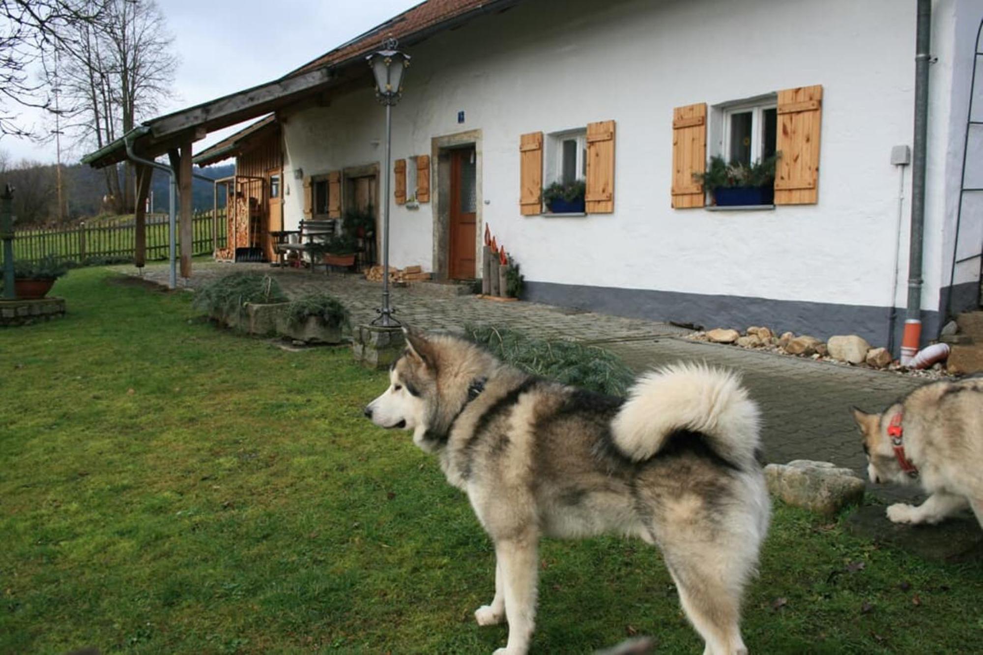 בלאיבאך Ferienhaus Winter מראה חיצוני תמונה